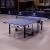 Профессиональный теннисный стол Cornilleau 540 ITTF (Blue) Профессиональный теннисный стол Cornilleau 540 ITTF (Blue)