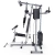 Силовой комплекс DFC HomeGym D7002-60 стек 60 кг Силовой комплекс DFC HomeGym D7002-60 стек 60 кг